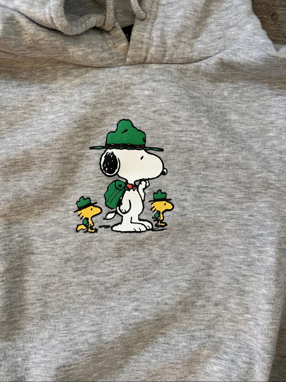 Peanuts adult M Gray Hooded Sweatshirt with Green Snoopy & Woodstock graphic - Picture 2 of 8